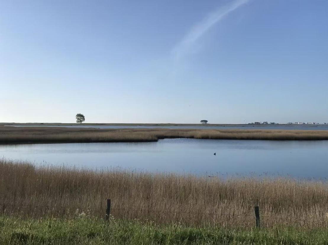 Strandgut Wackerballig Gelting Dış mekan fotoğraf